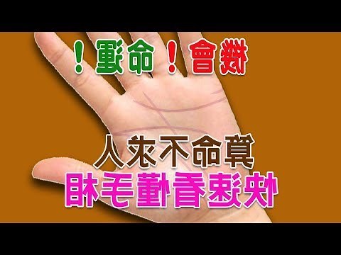 生命線 鎖鏈狀